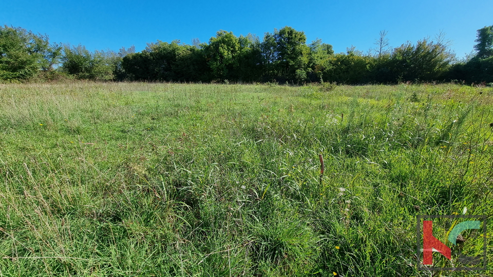 Istra, Loborika, građevinsko zemljište 892m2 pravilnog formata