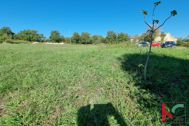 Istria, Divšići, Building land 961m2 - quiet location