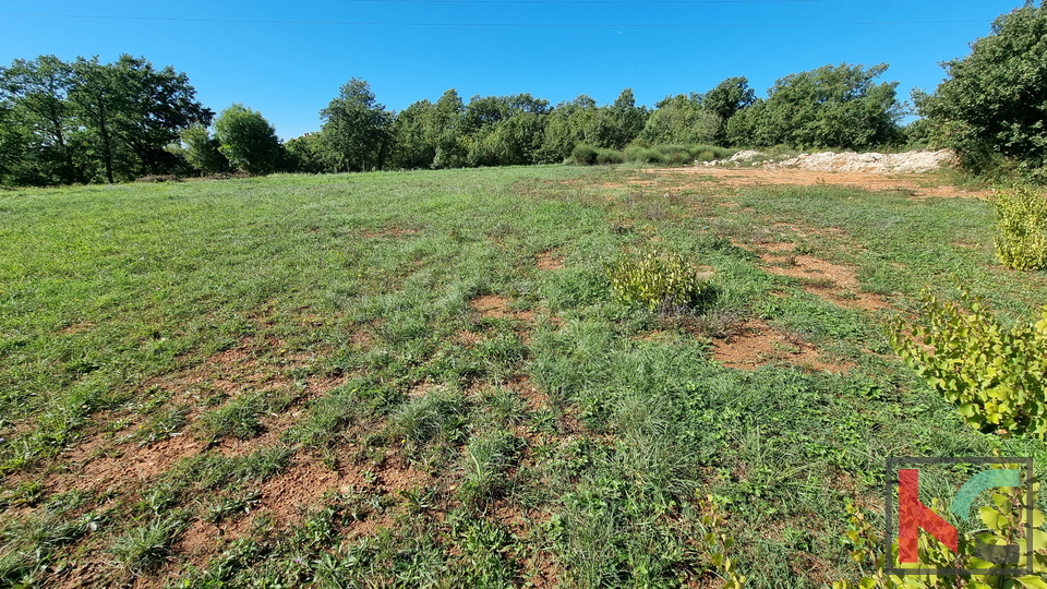 Istra, Divšići, Zazidljivo zemljišče 961m2 - mirna lokacija