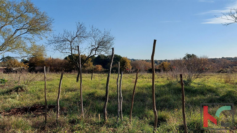 Istria, Rovigno, Veštar terreno agricolo 3187m2 con un edificio di 28m2