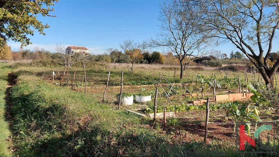 Istria, Rovigno, Veštar terreno agricolo 3187m2 con un edificio di 28m2