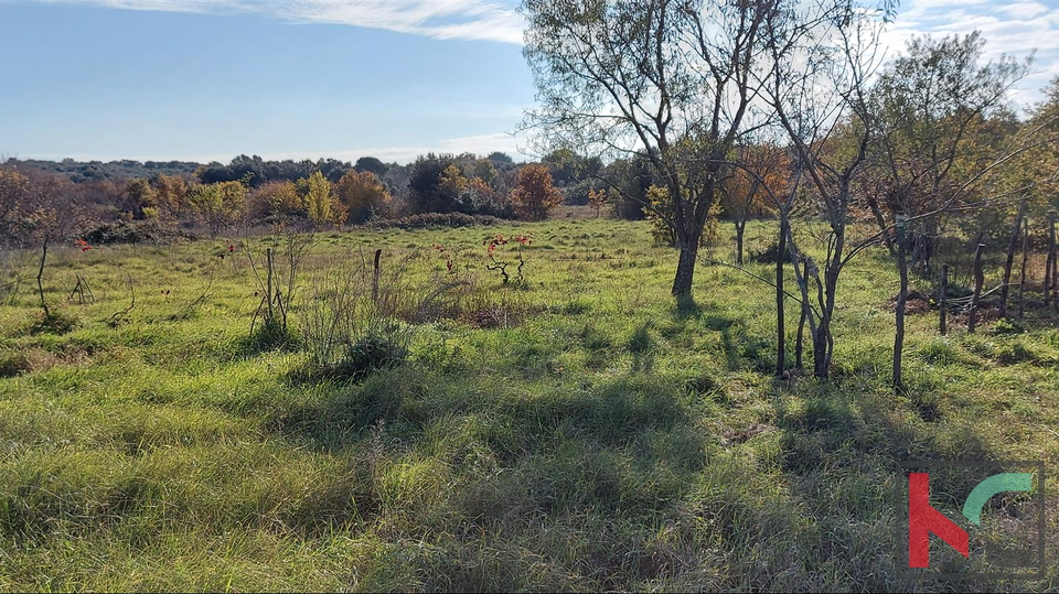 Istria, Rovigno, Veštar terreno agricolo 3187m2 con un edificio di 28m2