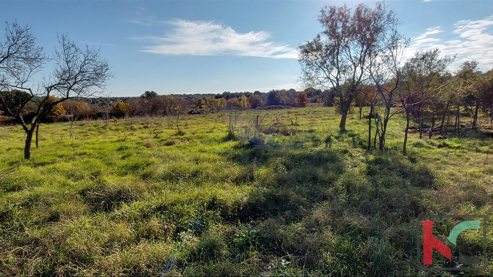 Istria, Rovigno, Veštar terreno agricolo 3187m2 con un edificio di 28m2