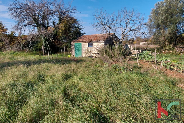 Istria, Rovigno, Veštar terreno agricolo 3187m2 con un edificio di 28m2