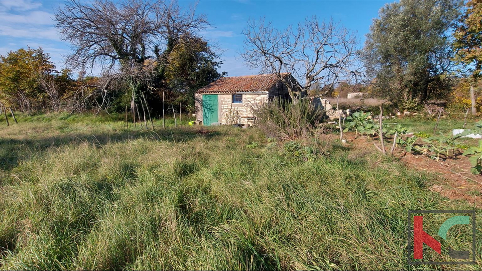 Istria, Rovigno, Veštar terreno agricolo 3187m2 con un edificio di 28m2