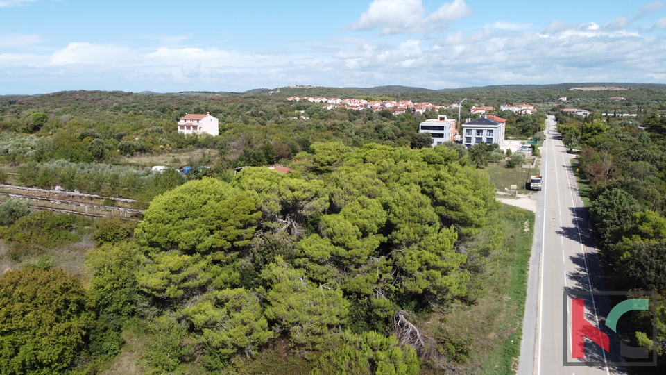 Istria, Rovigno, Veštar terreno agricolo 3187m2 con un edificio di 28m2