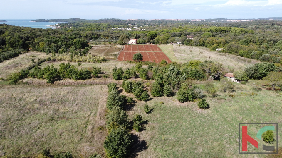 Istria, Rovigno, Veštar terreno agricolo 3187m2 con un edificio di 28m2