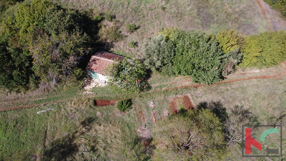 Istria, Rovigno, Veštar terreno agricolo 3187m2 con un edificio di 28m2