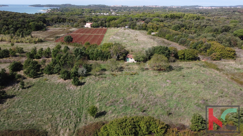 Istria, Rovigno, Veštar terreno agricolo 3187m2 con un edificio di 28m2