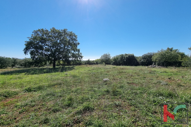 Istra, Perugia, gradbeno kmetijsko zemljišče 5932m2 s pogledom na morje