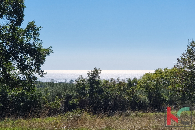 Istra, Perugia, gradbeno kmetijsko zemljišče 5932m2 s pogledom na morje