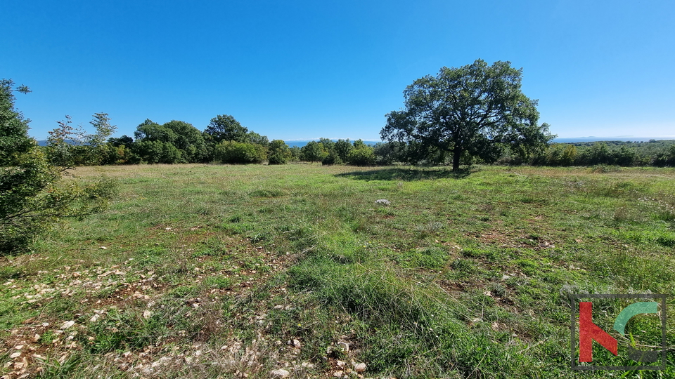 Istria, Perugia, terreno edificabile e agricolo 5932m2 con vista mare