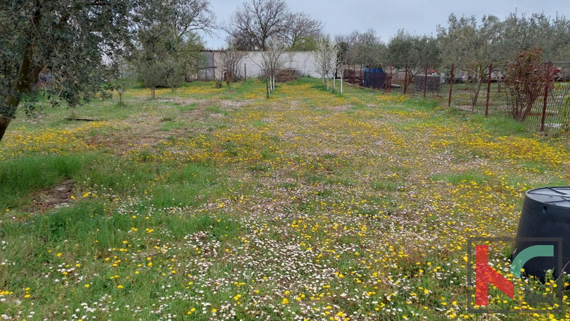 ISTRA,ŠIŠAN, SAMOSTOJEĆA PRIZEMNICA 3SS+DB SA DODATNOM PARCELOM OD 1104M2 #PRODAJ