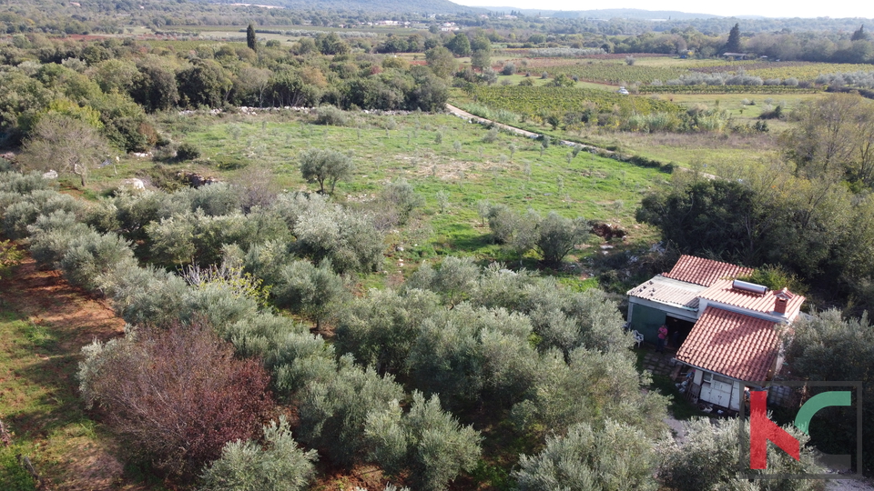 Rovinj, legalized house with olive grove and vineyard on a plot of 4471 m2 #sale