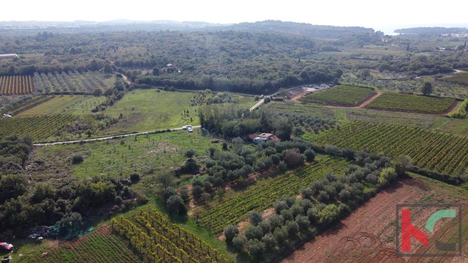 Rovinj, legalized house with olive grove and vineyard on a plot of 4471 m2 #sale