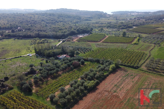 Rovigno, casa legalizzata con uliveto e vigneto su un terreno di 4471 m2 #vendita