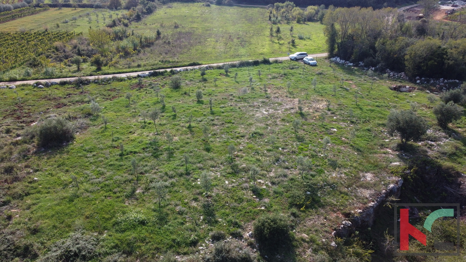 Rovinj, legalizirana kuća sa maslinikom i vinogradom na parceli od 4471 m2 #prodaja