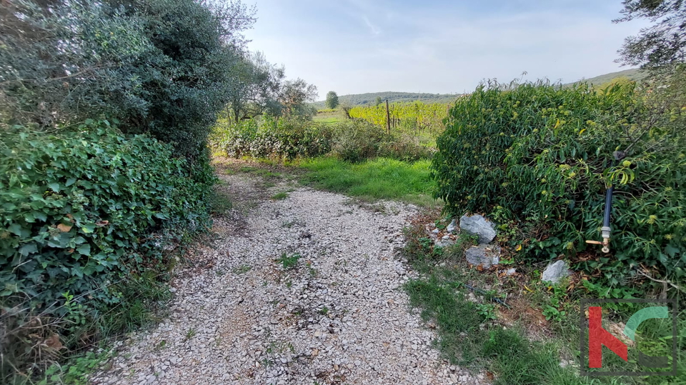 Rovinj, legalized house with olive grove and vineyard on a plot of 4471 m2 #sale