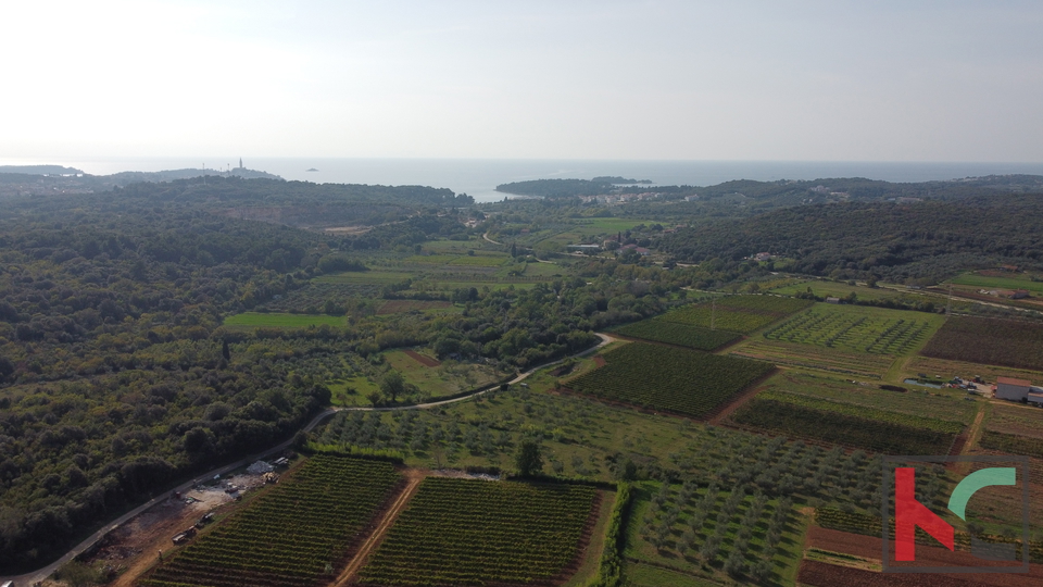 Rovinj, agricultural land with olive grove, vineyard and legalized building #sale