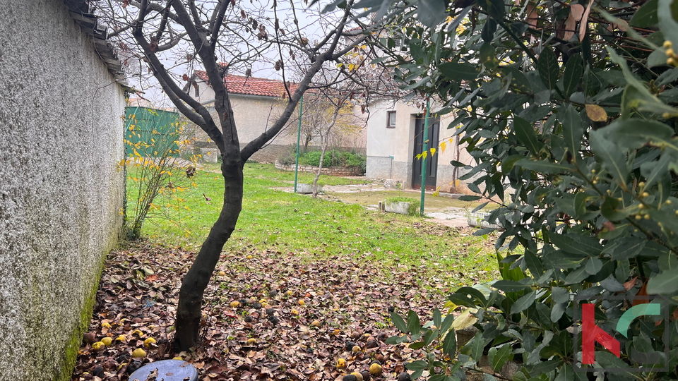 Istra, Svetvinčenat, Kuća, 136 m2 sa potencijalom na lijepoj okućnici #prodaja