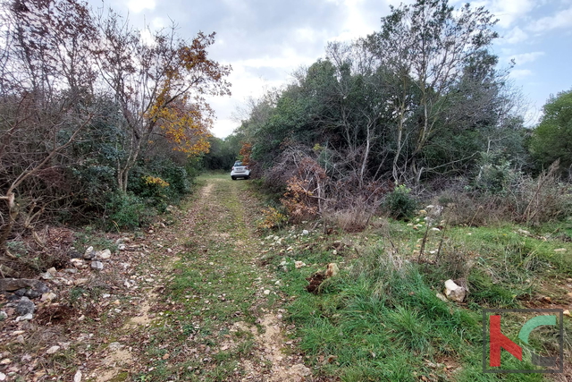 Istria, Peruški, gradbena zemljišča 1345 m2, #prodaja