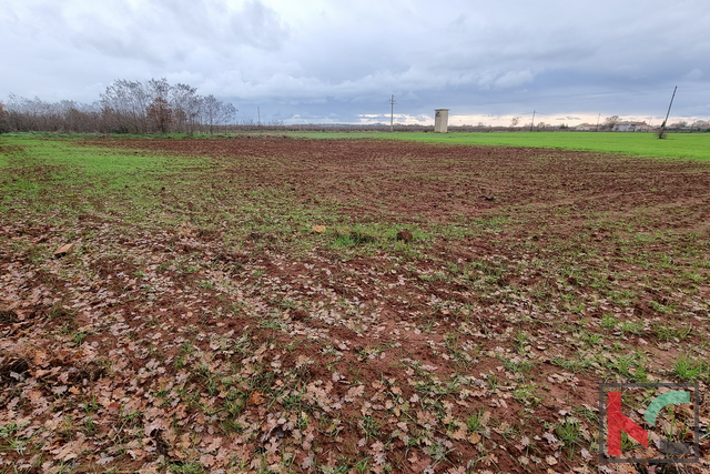 Istria, Loborika, terreno edificabile 2000m2 di formato regolare