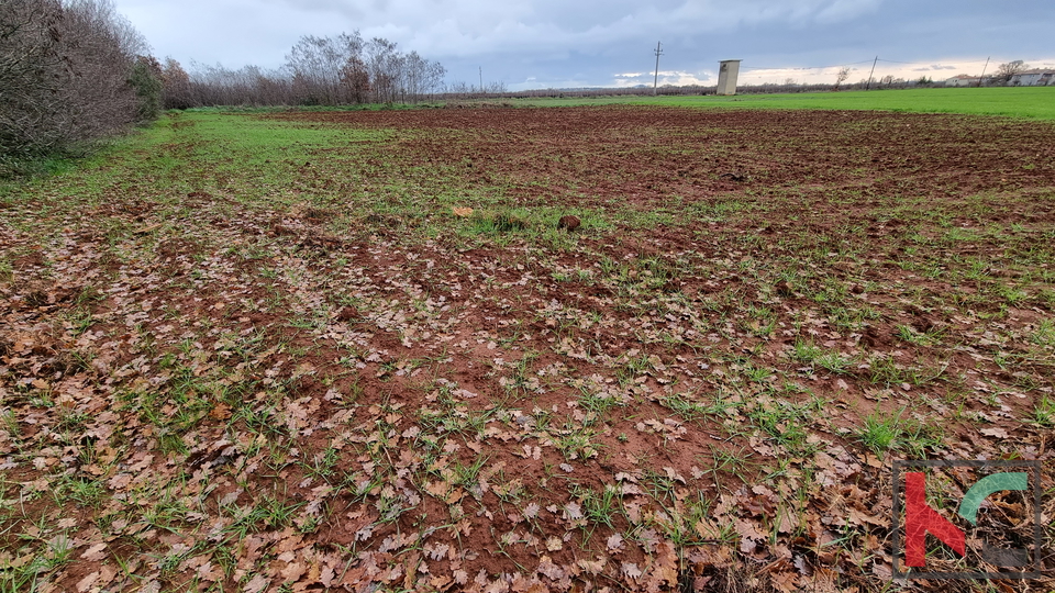 Istra, Loborika, gradbena parcela 2000m2 pravilnega formata