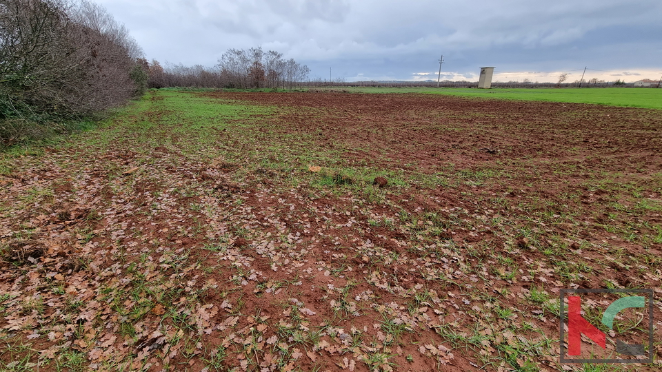 Istra, Loborika, gradbena parcela 2000m2 pravilnega formata