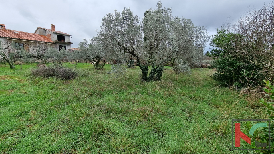 Istra, Marčana, Cokuni gradbeno zemljišče 3352m2 s pogledom na morje