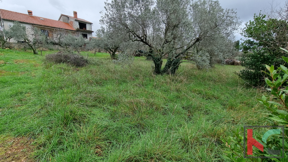 Istria, Marčana, Cokuni terreno edificabile 3352m2 con vista mare