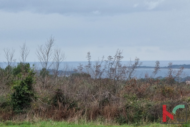 Istra, Marčana, Cokuni gradbeno zemljišče 3352m2 s pogledom na morje