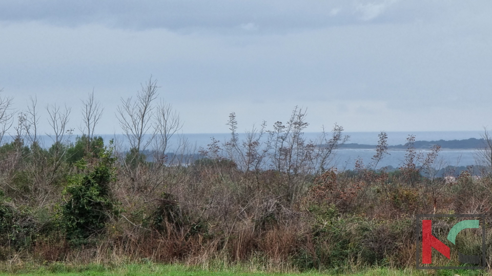 Istra, Marčana, Cokuni gradbeno zemljišče 3352m2 s pogledom na morje