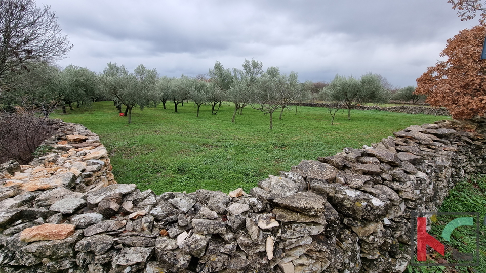 Istra, Marčana, Cokuni gradbeno zemljišče 3352m2 s pogledom na morje