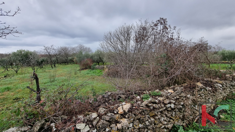 Istra, Marčana, Cokuni gradbeno zemljišče 3352m2 s pogledom na morje