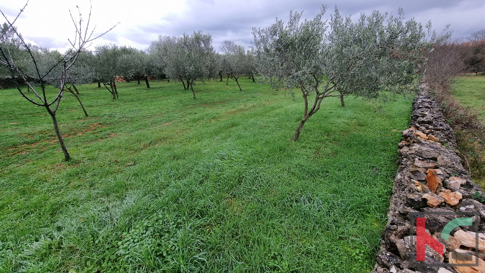 Istra, Marčana, Cokuni gradbeno zemljišče 3352m2 s pogledom na morje