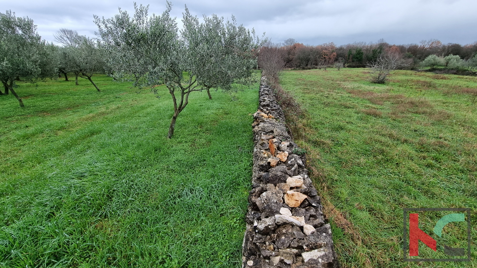 Istra, Marčana, Cokuni gradbeno zemljišče 3352m2 s pogledom na morje