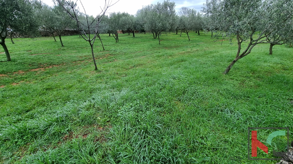 Istra, Marčana, Cokuni gradbeno zemljišče 3352m2 s pogledom na morje