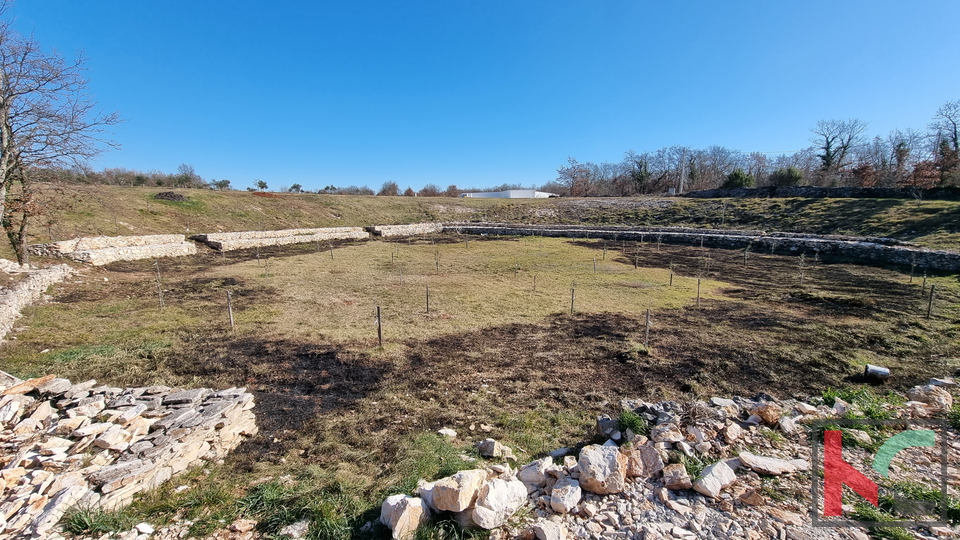 Istra, Svetvinčenat, kuća 237m2 u novogradnji sa bazenom na mirnoj lokaciji