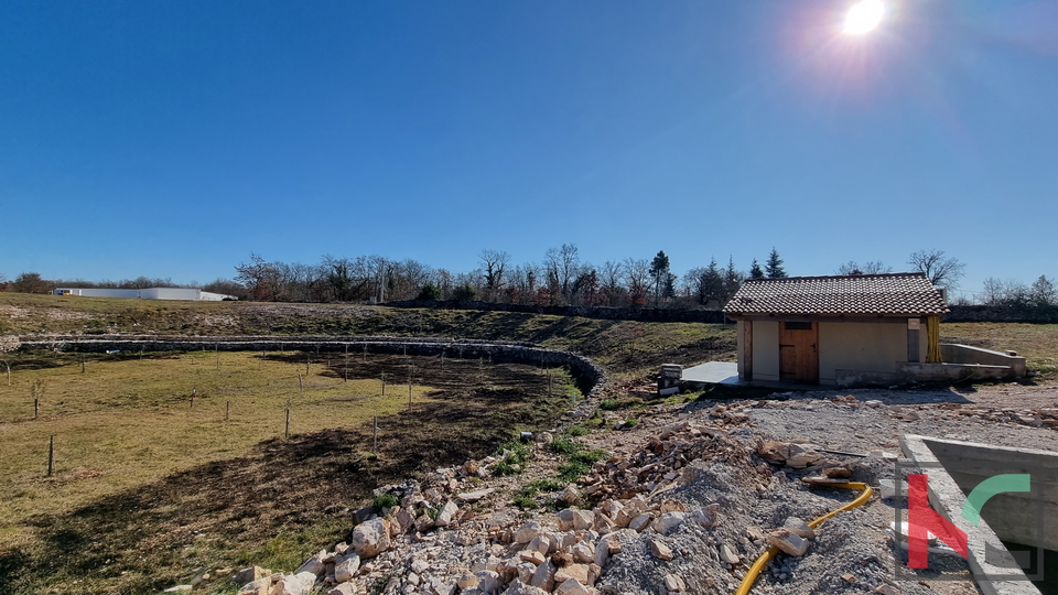 Istra, Svetvinčenat, kuća 237m2 u novogradnji sa bazenom na mirnoj lokaciji