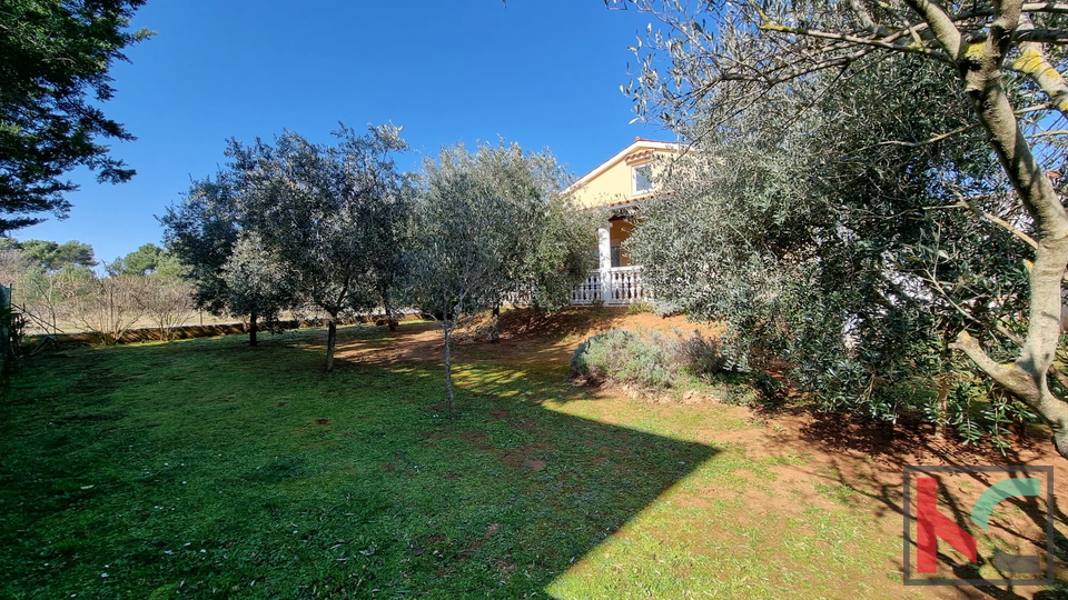 Istria, Ližnjan, detached house with garden on an area of ​​541m2, #sale