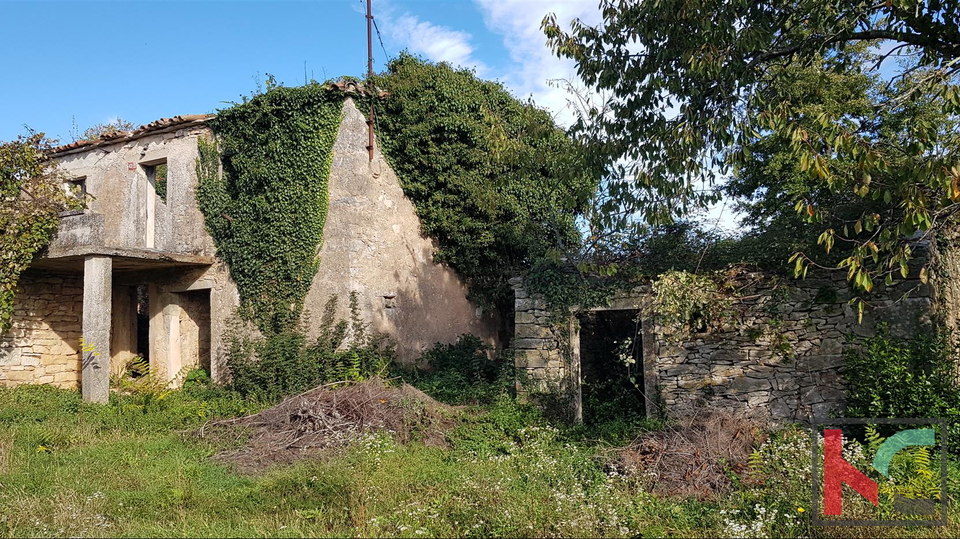 Gračišće, Lančišće stara istarska kuća 300m2 okućnica 1353m2 građevnskog i 5500m2 poljoprivrednog zemljišta, #prodaja