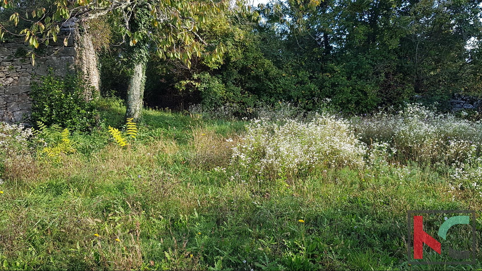 Gračišće, Lančišće stara istarska kuća 300m2 okućnica 1353m2 građevnskog i 5500m2 poljoprivrednog zemljišta, #prodaja