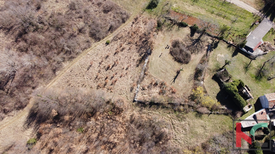 Gračišće, Lančišće stara istarska kuća 300m2 okućnica 1353m2 građevnskog i 5500m2 poljoprivrednog zemljišta, #prodaja