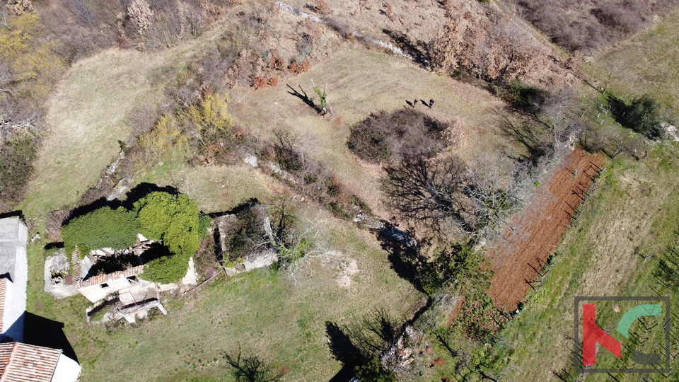 Gračišće, Lančišće stara istarska kuća 300m2 okućnica 1353m2 građevnskog i 5500m2 poljoprivrednog zemljišta, #prodaja