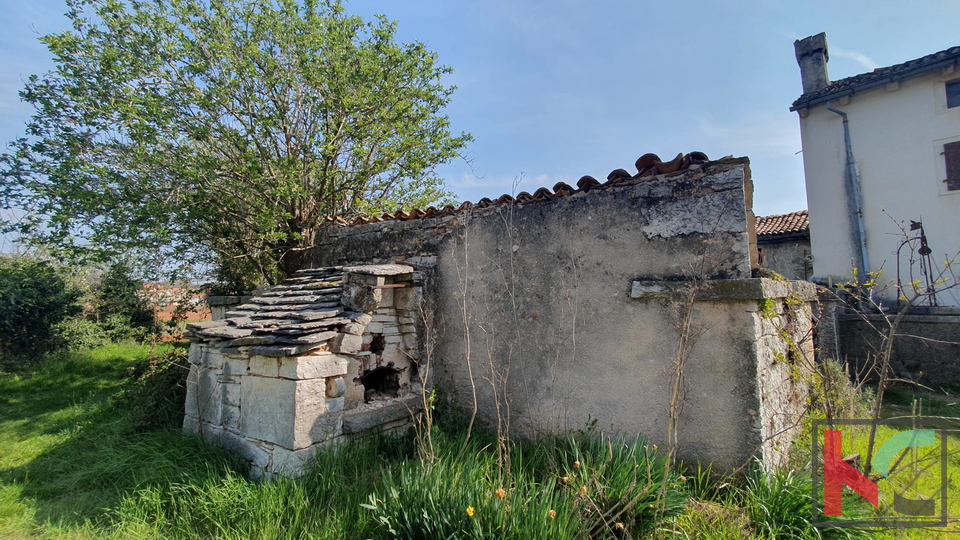 Istra, Žminj, kamnita hiša za obnovo #prodaja