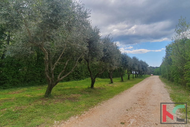 Istra, Barban, građevinsko zemljište 1640m2 #prodaja