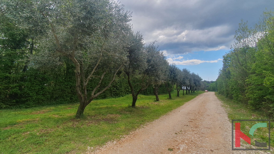 Istra, Barban, građevinsko zemljište 1640m2 #prodaja