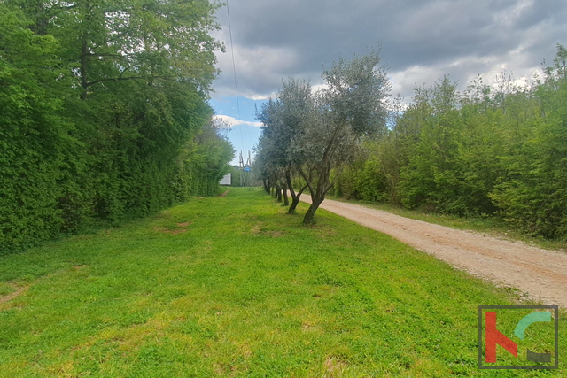 Istria, Barban, terreno edificabile 1640m2 #vendita