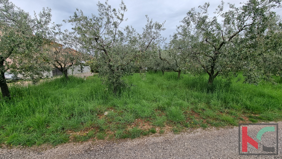 Pula, Veli Vrh, building plot 1158m2, possibility of subdivision, #sale