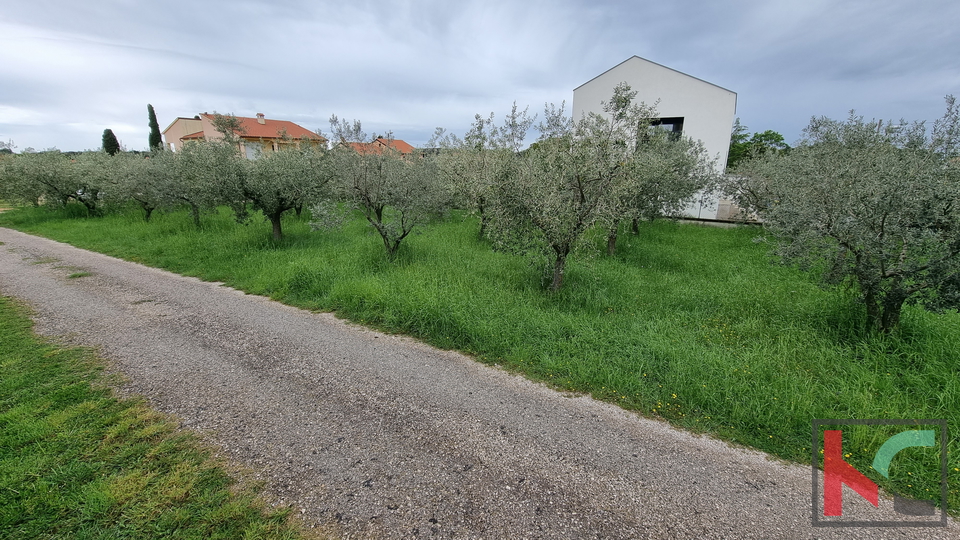 Pula, Veli Vrh, building plot 1158m2, possibility of subdivision, #sale